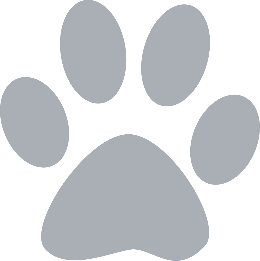 animal-website-design-paw